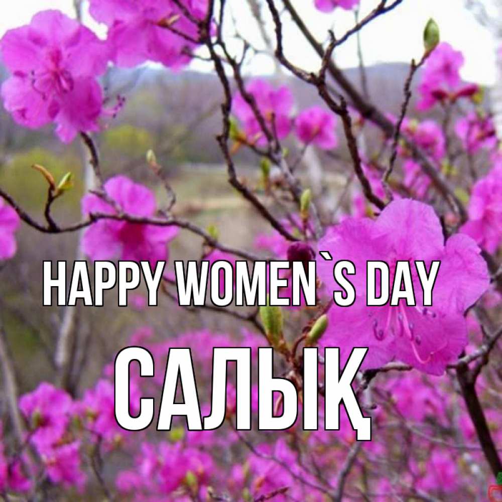 Greetings card с именем, САЛЫҚ happy women`s day международный женский день Greetings with text for free download 